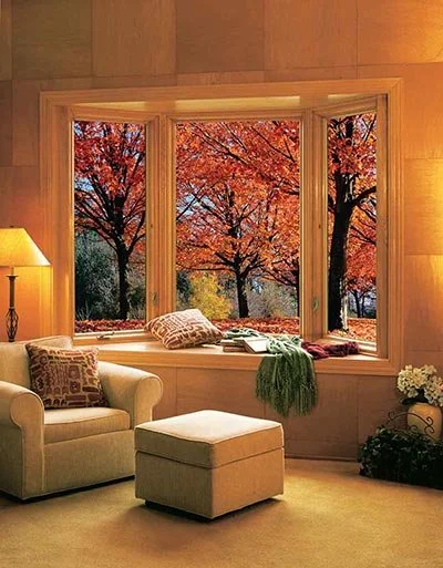 Window Replacement project 3